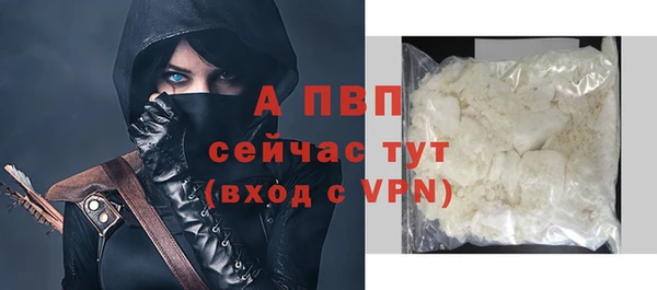 гидра Кинешма