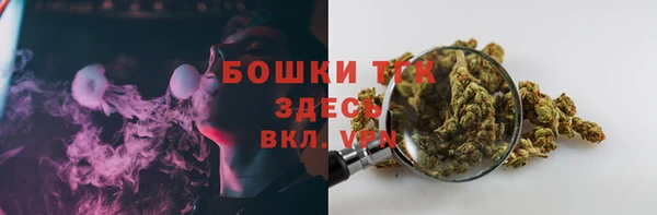 гидра Кинешма