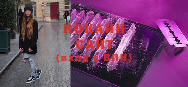 гидра Кинешма