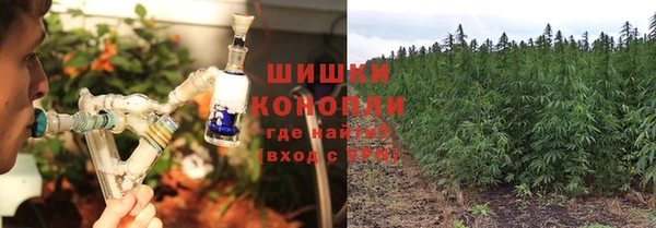 гидра Кинешма