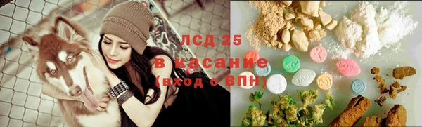 гидра Кинешма
