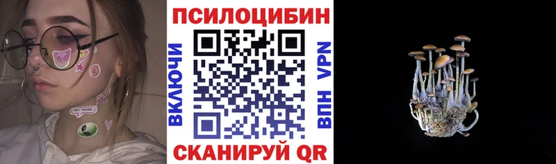 Псилоцибиновые грибы Cubensis  Купить  Гусев 