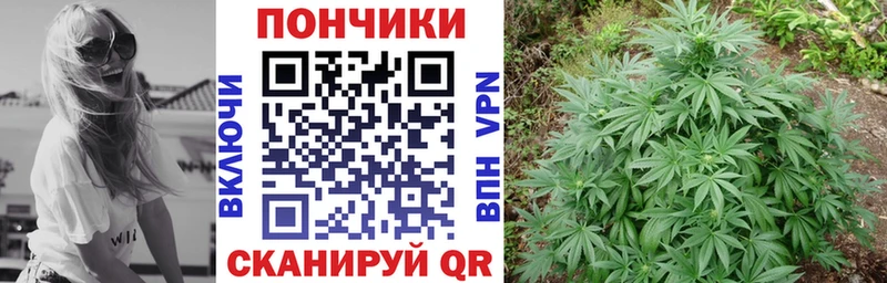 Купить  Гусев  Конопля OG Kush 